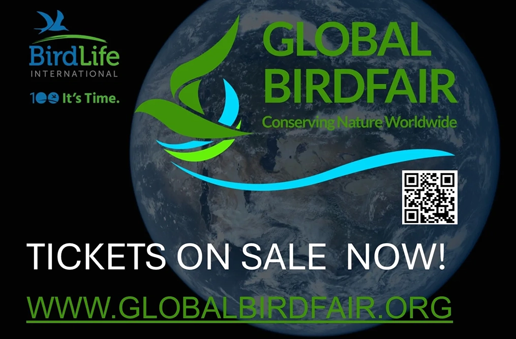 Global Birdfair. Craig Jones Wildlife Photography 