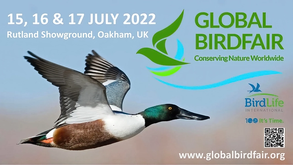 Global Birdfair Craig Jones Wildlife Photography 